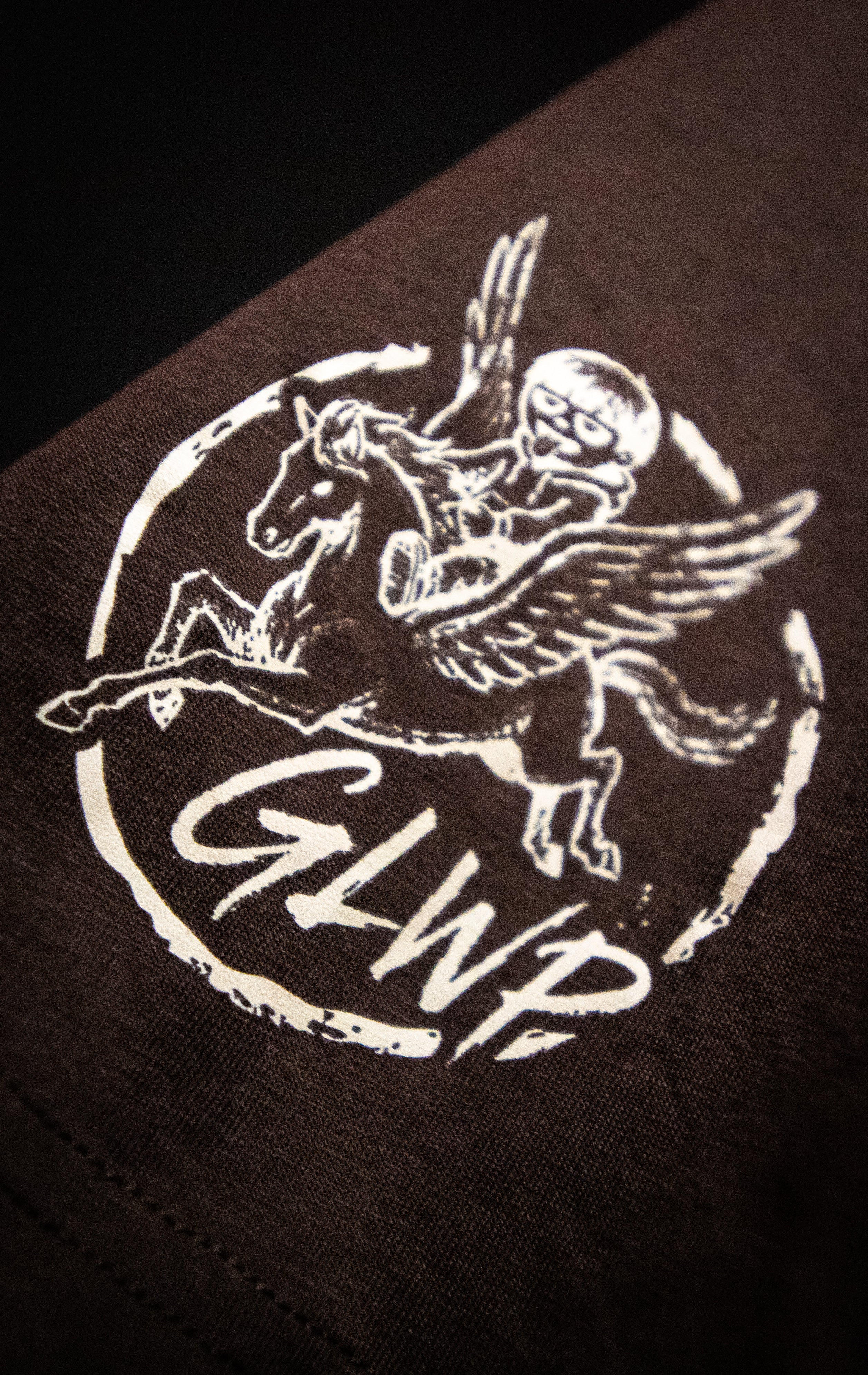 CAMISETA INDOMABLE MARRON