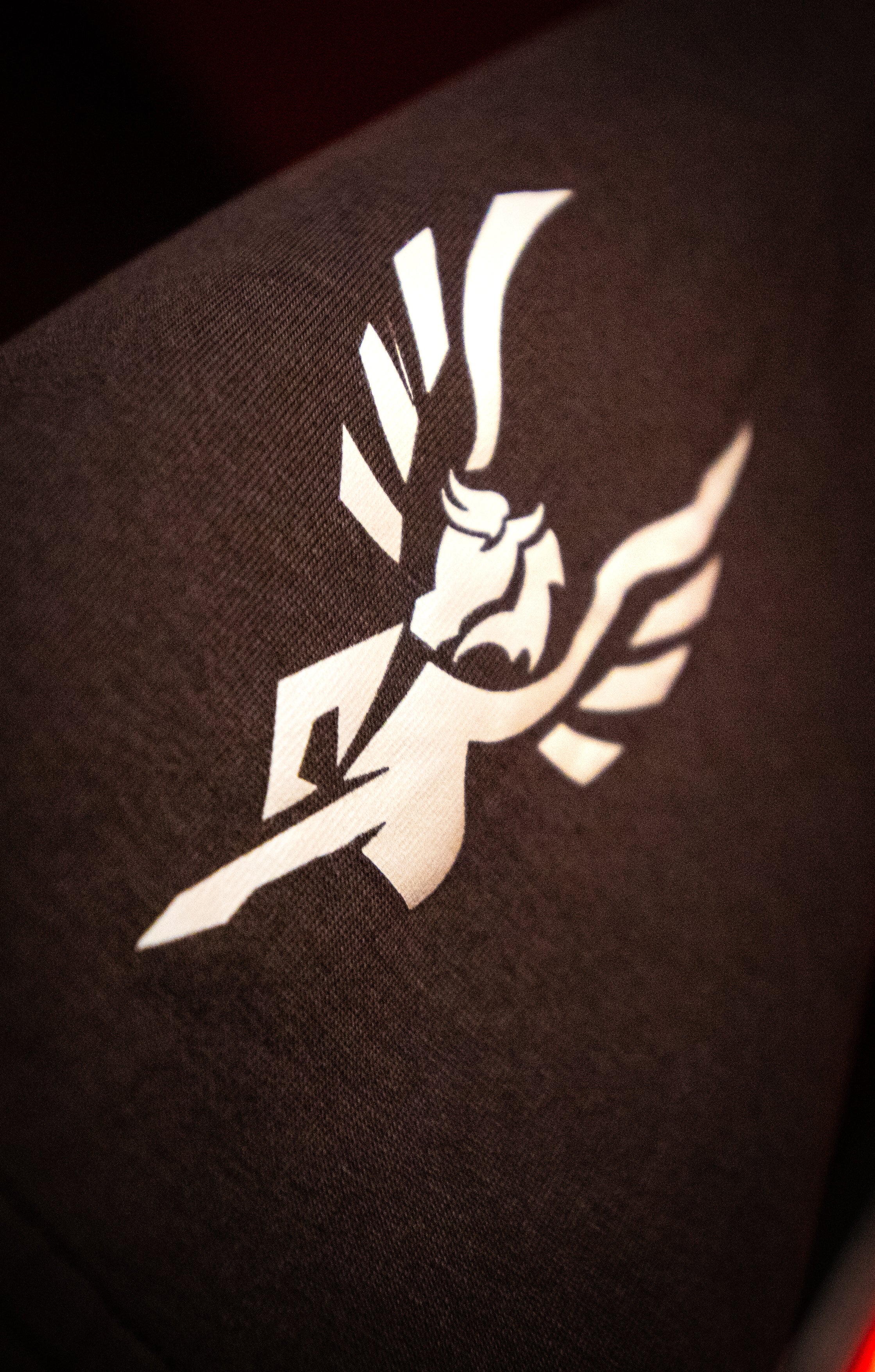 CAMISETA INDOMABLE MARRON